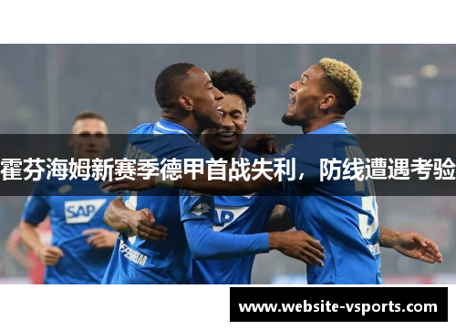 霍芬海姆新赛季德甲首战失利，防线遭遇考验